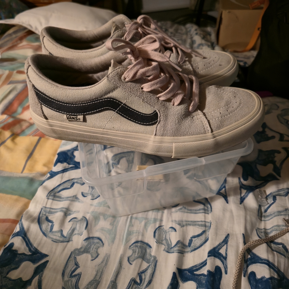 Vans Sk8 Low Sneakers